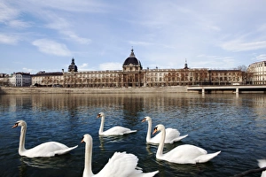 Rhone River Prints: Hotel the Dieu on the Rhone River, Lyon, Rhone-Alpes, France, Europe