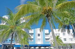 Images Dated 11th November 2007: Hotel on Ocean Drive, Art Deco District, South Beach, Miami, Florida, United States of America