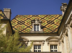 Bourgogne Prints: Hotel de Vogue, Dijon, Burgundy, France, Europe