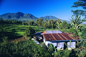 Flores Prints: House amidst the rice terraces in the rice and coffee