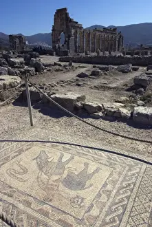 Floors Prints: House of the Athlete (House of the Acrobat)