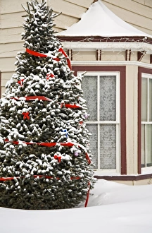 Christmas Decoration Prints: House with Christmas tree
