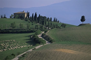 Val Dorcia Prints: House and cypress trees