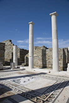 House of Dionysos