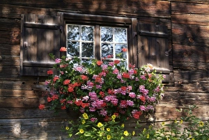 Shutters Prints: House in Gerstruben near Oberstdorf, Allgau, Bavaria, Germany, Europe