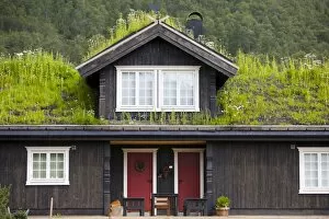 Images Dated 7th August 2009: House with green roof, near Tinn, Telemark, Norway, Scandinavia, Europe