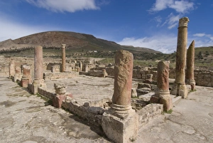 Bulla Regia Prints: House of the Hunt, Roman ruins of Bulla Regia, Tunisia, North Africa, Africa