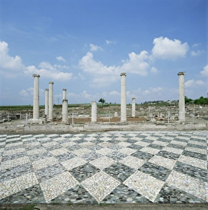 House of the Lion Hunt with exquisite floor mosaics