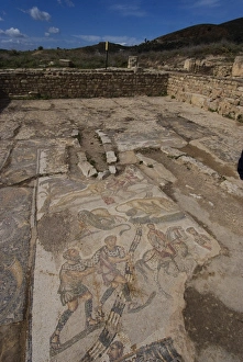 Bulla Regia Prints: House of the New Hunt, Roman ruins of Bulla Regia, Tunisia, North Africa, Africa