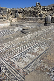 Images Dated 7th November 2007: House of Orpheus, Roman site of Volubilis, UNESCO World Heritage Site, Morocco