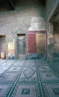 Restored Prints: House of Paquinius