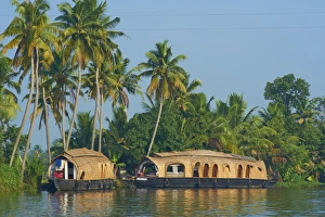 House Boat Prints: Houseboat for tourists on the backwaters, Allepey, Kerala, India, Asia