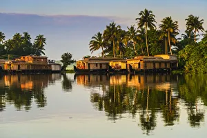 Indian Culture Gallery: Houseboats moored at dawn after the overnight stay on the popular backwater cruise