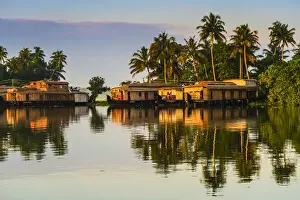 Cruise Prints: Houseboats moored at dawn after the overnight stay on the popular backwater cruise