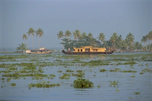 House Boat Prints: Houseboats used for tourists