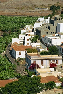 La Gomera Prints: Houses beside banana plantations, Santiago, La Gomera, Canary Islands, Spain