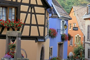 Hanging Basket Prints: Houses, Neidermorschwir, Alsace, France, Europe