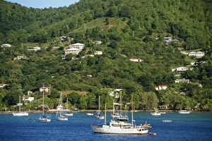Grenadines Prints: Houses overlooking bay with moored sailing boats