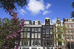 Prinsengracht Prints: Houses on the Prinsengracht, Amsterdam, Netherlands, Europe