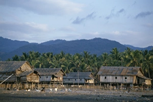 Stilt House Prints: Houses on stilts