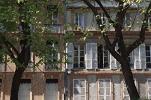 Toulouse Prints: Houses on a street in Toulouse, Midi Pyrenees, France, Europe