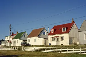 Stanley Prints: Houses of wood and corrugated iron line a typical street in Stanley