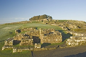 Housesteads Prints: Part of Housesteads Roman Fort, looking up to Housesteads Wood, Hadrians Wall