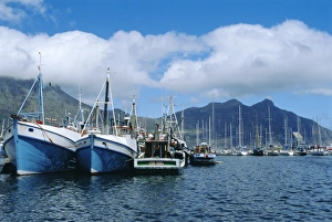 Cape Town Prints: Hout Bay, fishing harbour