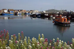 Images Dated 26th June 2009: Howth harbour, County Dublin, Republic of Ireland, Europe