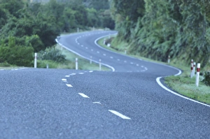 Curve Prints: Hst Highway and rainforest, West Coast, South Island, New Zealand, Pacific