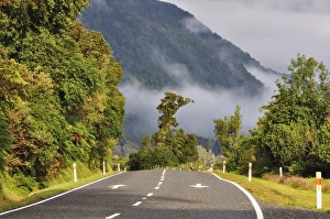 Arrow Prints: Hst Highway, West Coast, South Island, New Zealand, Pacific