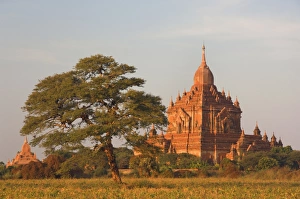 Hti-lo-min-lo, Bagan (Pagan), Myanmar (Burma), Asia