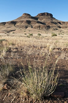 Damaraland Prints: Huab River Valley, Torra Conservancy, Damaraland, Namibia, Africa