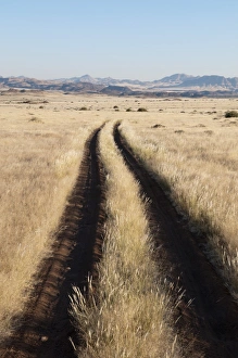 Huab River Valley, Torra Conservancy, Damaraland, Namibia, Africa