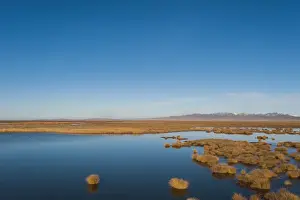 Flats Prints: Huahu (Flower Lake), an important wetland area which supports a large array of biodiversity