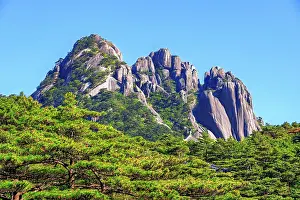 Mountainside Prints: Huangshan mountain peaks rise above dense green trees on a clear day in Anhui Province