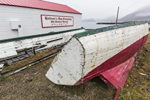 Nunavut Prints: Hudson Bay Company whaling station in Pangnirtung, Nunavut, Canada, North America