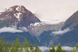 Tree Top Prints: Hudson Bay Mountain and Kathlyn Glacier, Smithers, British Columbia, Canada, North America