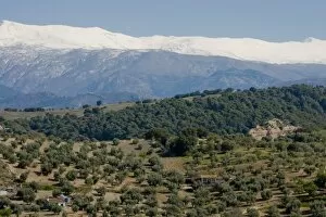 Huetor Santillan landscape, Sierra Nevada, Andalucia, Spain, Europe