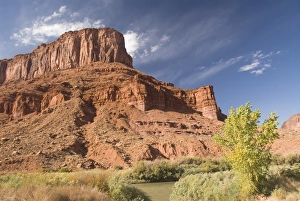 Images Dated 19th October 2009: Huge butte with trees turning color in the Fall, Utah Scenic Byway 128