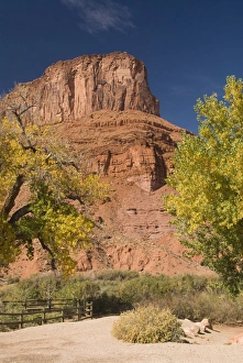 Images Dated 30th October 2009: Huge butte with trees turning color in the Fall, Utah Scenic Byway 128