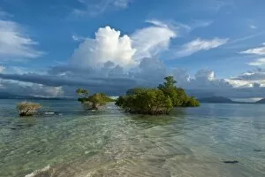Huge cloud formations over the Marovo Lagoon, Solomon Islands, Pacific
