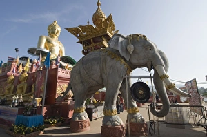 Images Dated 2nd January 2008: Huge golden Buddha on the banks of the Mekong River at Sop Ruak, Thailand