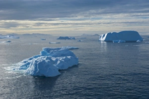 Images Dated 6th December 2008: Huge icebergs in Cierva Cove, Antarctica, Polar Regions