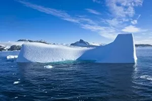 Images Dated 6th December 2008: Huge icebergs in Cierva Cove, Antarctica, Polar Regions