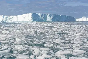 Ilulissat Prints: Huge icebergs from the nearby Ilulissat Icefjordrammed into the terminal moraine near Ilulissat