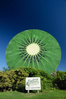 Bay Of Plenty Prints: Huge kiwi fruit sign at Te Puke