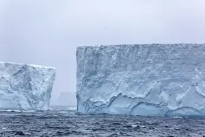 Floating On Water Prints: Huge tabular icebergs broken off from B-17A Iceberg near Cooper Bay, South Georgia