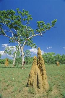 Kakadu Prints: Huge termite nests or cathedrals at The Top End, Kakadu National Park