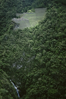 Rain Forest Prints: Huinay Huayna ruins
